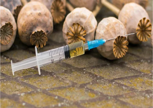 опийный мак и шприц